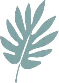 a blue leaf on a white background.jpg